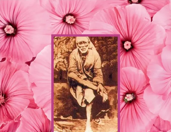 Cover of the Malay translation of Shri Sai Satcharita
